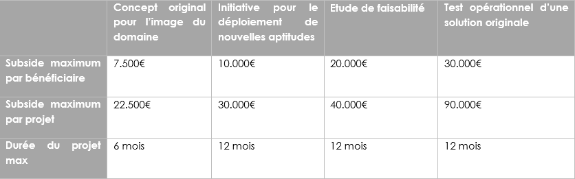 Tableau 4 Types De Projets